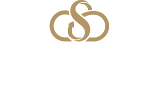 logo Skylimit
